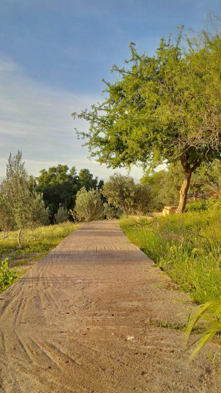 Villa Du Souss أغادير المظهر الخارجي الصورة